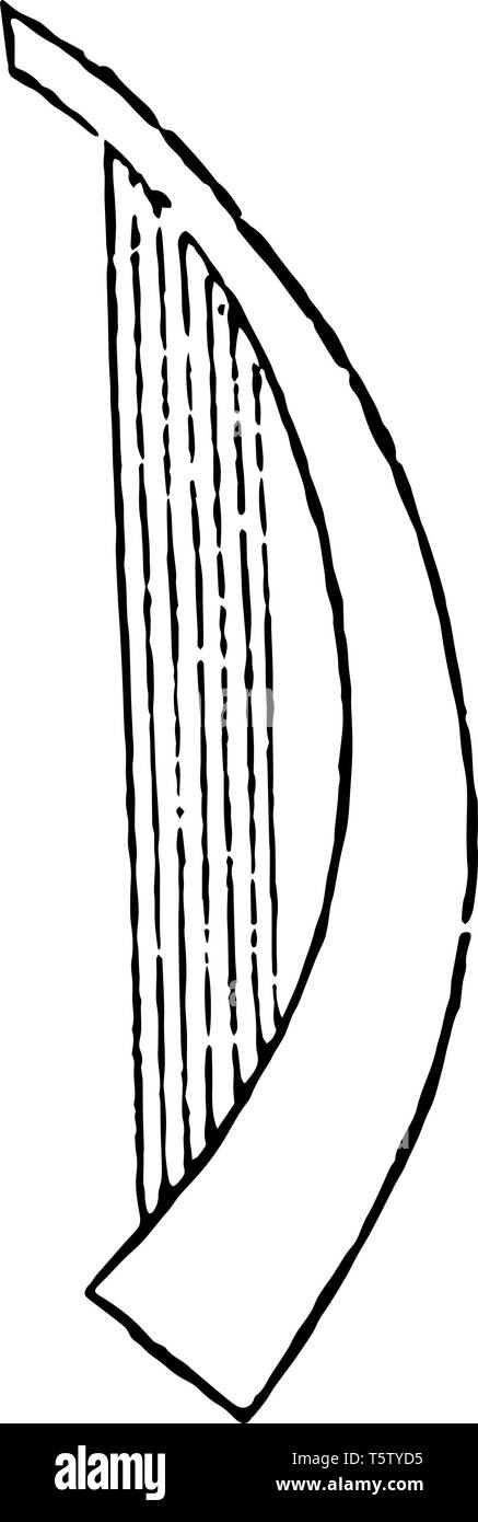 Lyre égyptienne est un instrument à cordes connu pour son utilisation dans l'antiquité classique grecque et les périodes ultérieures, vintage dessin ou gravure illustration. Illustration de Vecteur