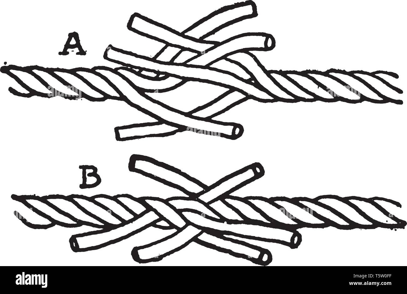 L'épissure courte les extrémités des cordes sont unlaid sur une courte distance et a rassemblé, vintage dessin ou gravure illustration. Illustration de Vecteur