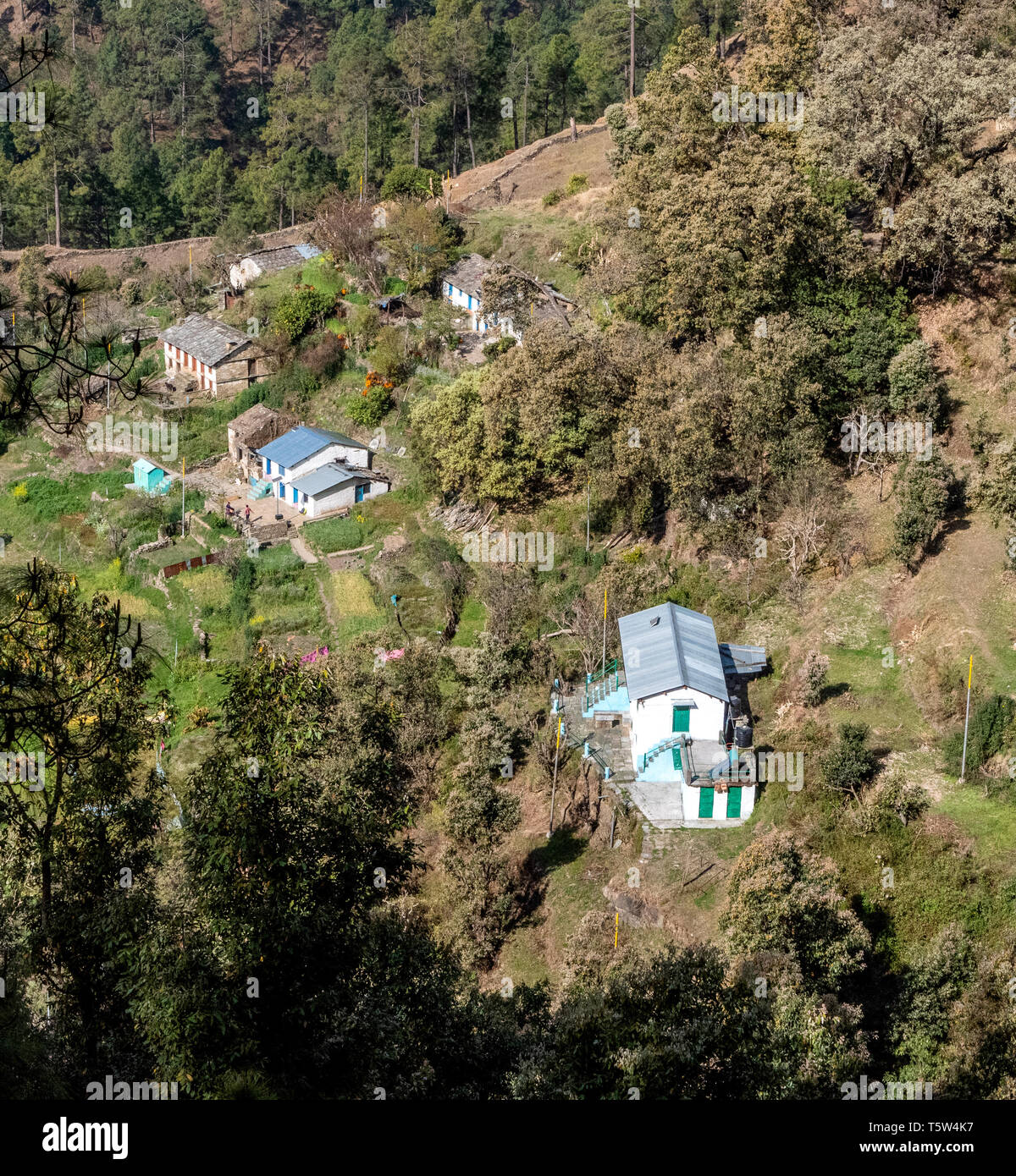 Regardant vers le bas sur le village de Risal dans la région de Binsar Uttarakhand dans l'Himalaya de l'Inde du Nord Banque D'Images