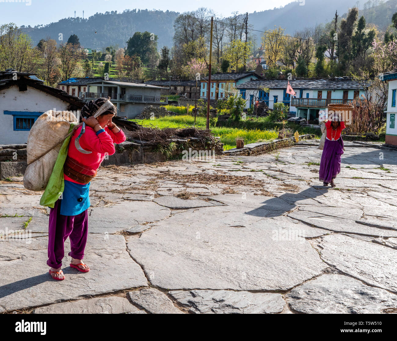 Les femmes portent de lourdes charges tout au long de l'Himalayan village de Supi dans la province de l'Uttarakhand en Inde Banque D'Images