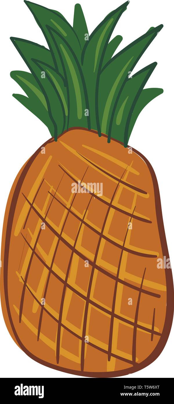 Le dessin d'un ensemble d'ananas orange avec des feuilles vertes sur le dessus de couleur ou de dessin vectoriel illustration Illustration de Vecteur