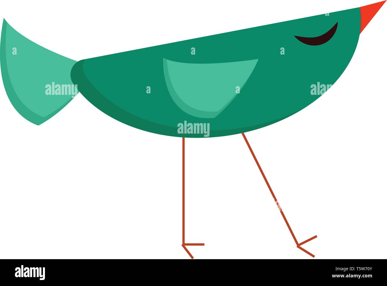 Un oiseau vert en forme de demi-cercle avec des plumes de la queue et des ailes triangulaires de couleur rouge longue jambes et un bec de couleur ou de dessin vectoriel illustratio Illustration de Vecteur