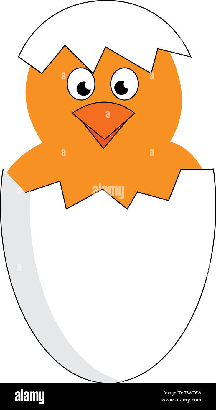Un poussin jaune l'éclosion d'un oeuf blanc donne un regard surpris vector dessin en couleur ou de l'illustration Illustration de Vecteur