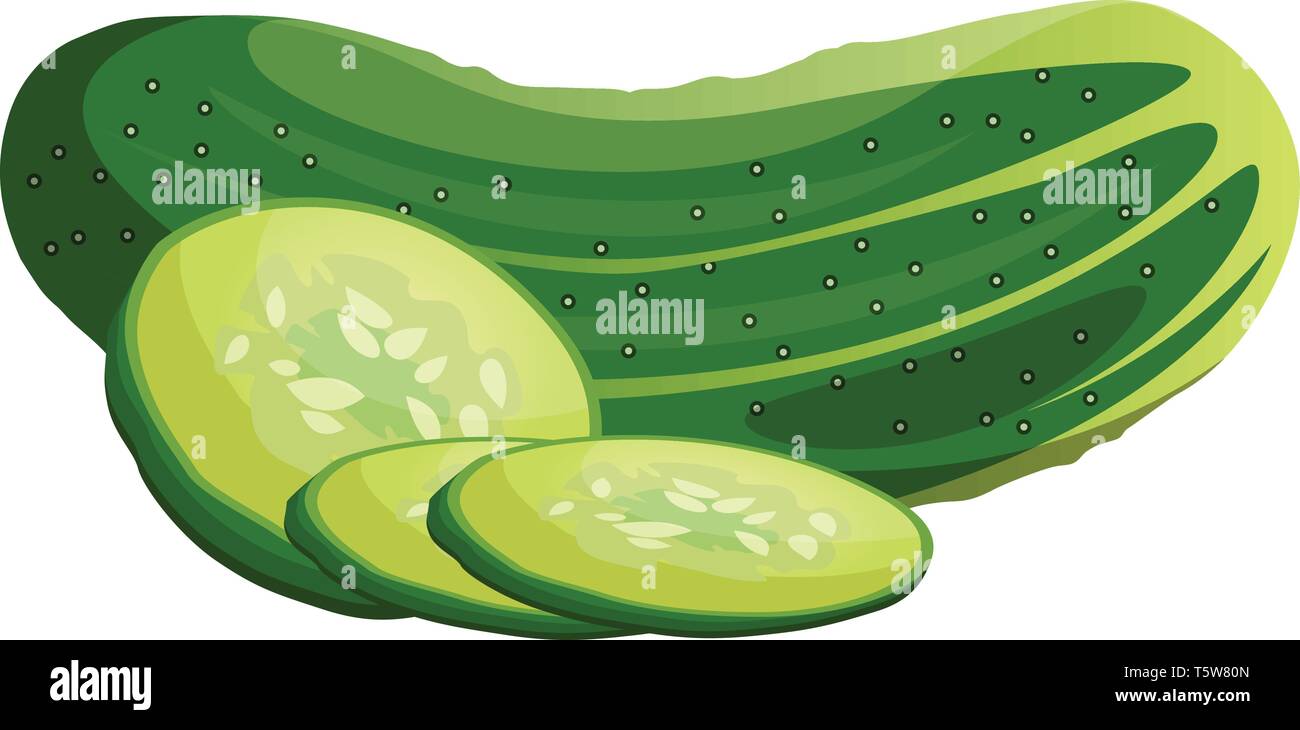 Tranches de concombre vert et légumes cartoon vector illustration sur fond blanc. Illustration de Vecteur
