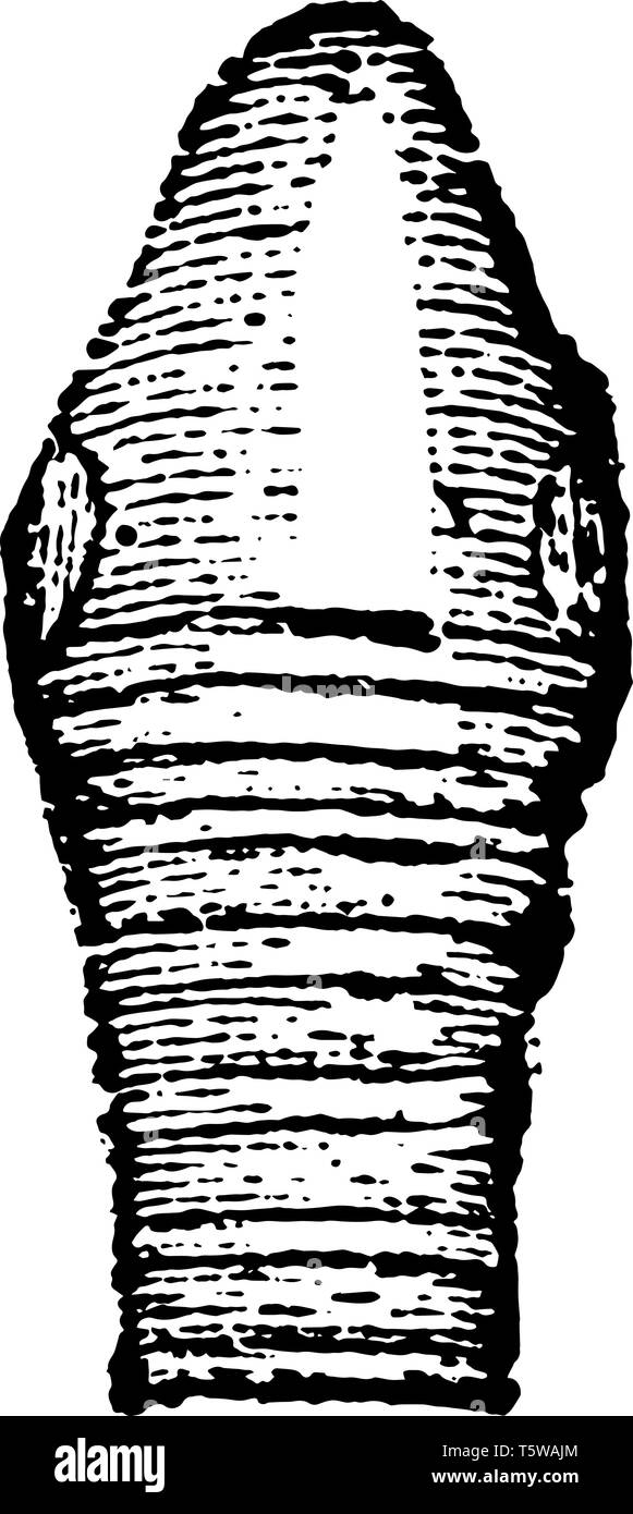 Cette image représente le larynx d'une tour vintage dessin ou gravure illustration. Illustration de Vecteur