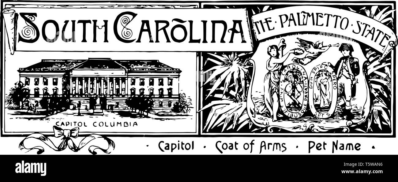 La bannière de l'état de Caroline du Sud le palmetto state cette bannière a state house avec CAPITOL COLUMBIA et côté droit flying angel avec une dame et un Illustration de Vecteur