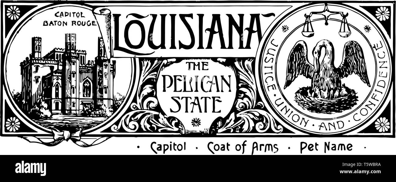La bannière de l'état de la Louisiane le pelican state cette bannière a state house sur le côté gauche du côté droit un pélican nourrissant ses petits de son sang vintage Illustration de Vecteur