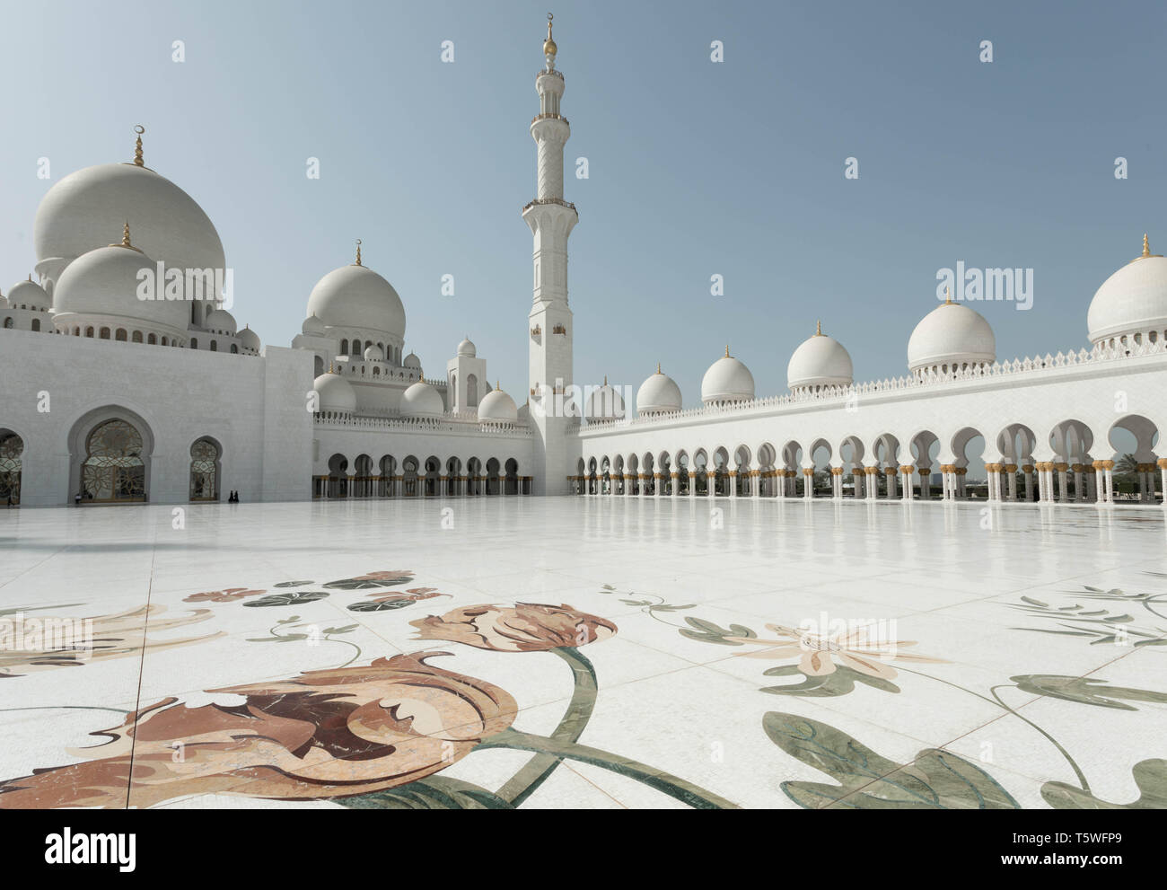 Mosquée Sheikh Zayed Bin Sultan Al Nahyan, Abu Dhabi, Émirats arabes unis, Moyen Orient Banque D'Images