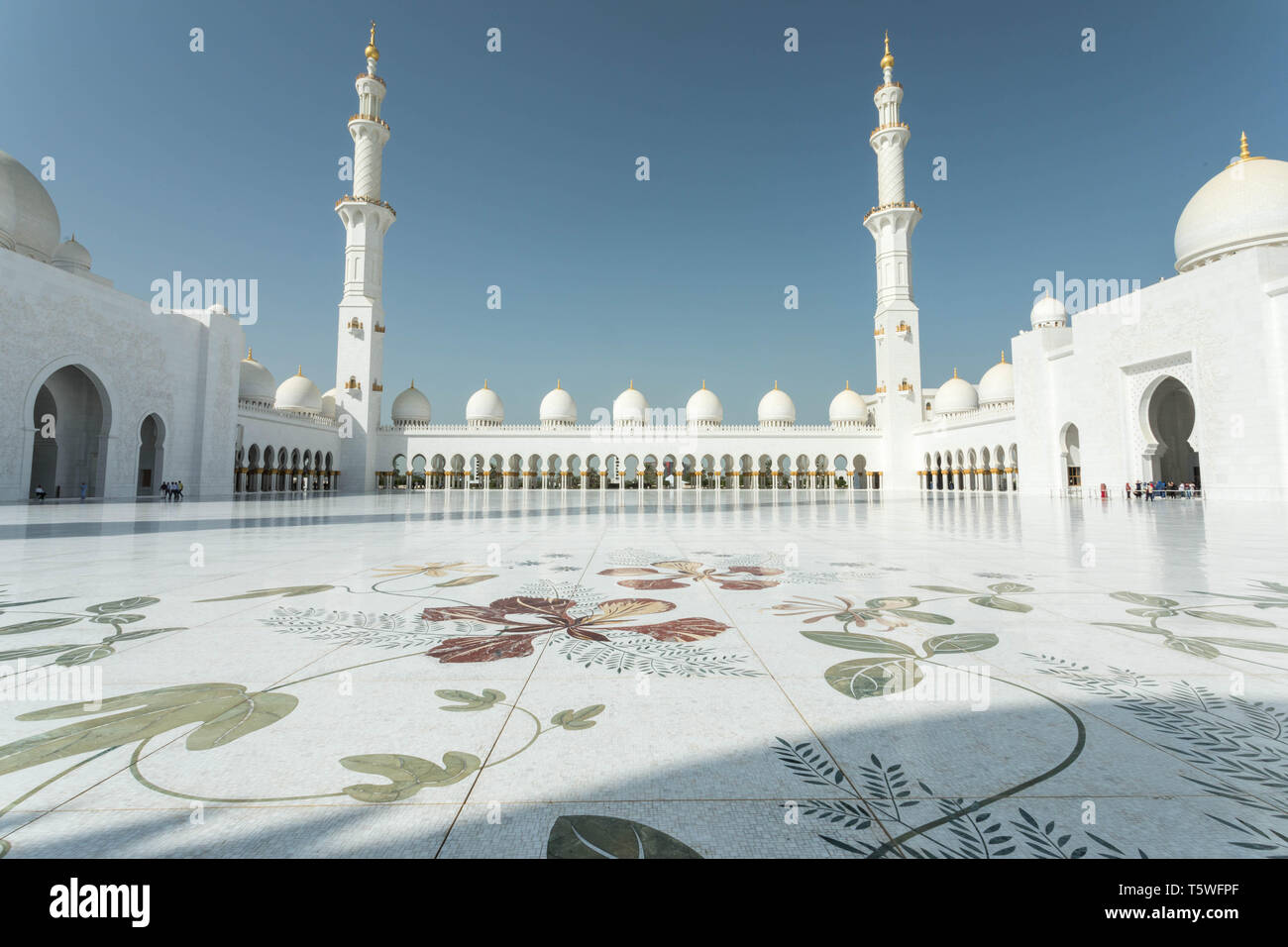 Mosquée Sheikh Zayed Bin Sultan Al Nahyan, Abu Dhabi, Émirats arabes unis, Moyen Orient Banque D'Images