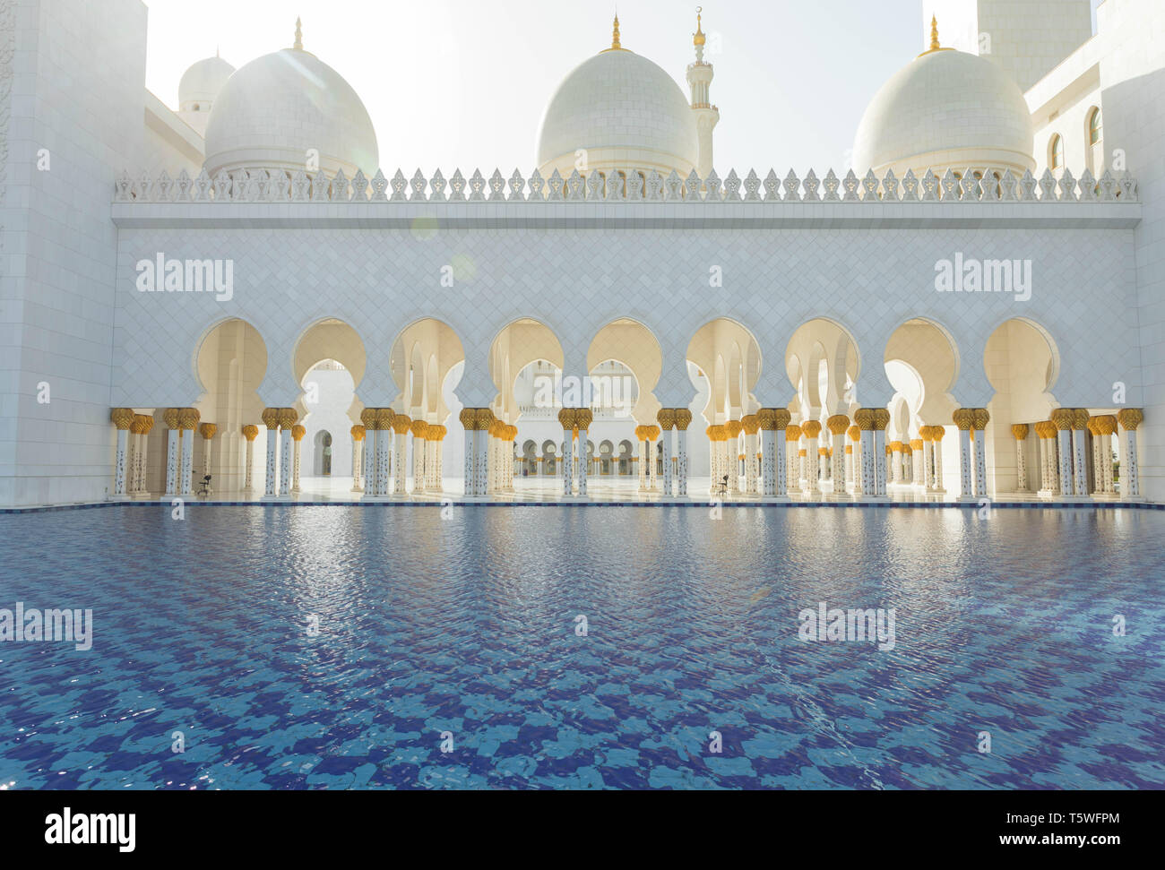 Mosquée Sheikh Zayed Bin Sultan Al Nahyan, Abu Dhabi, Émirats arabes unis, Moyen Orient Banque D'Images