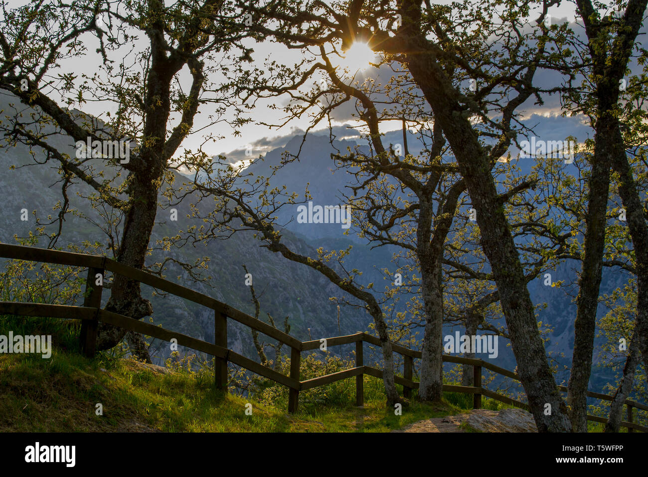 Mirador Santa Catalina Banque D'Images