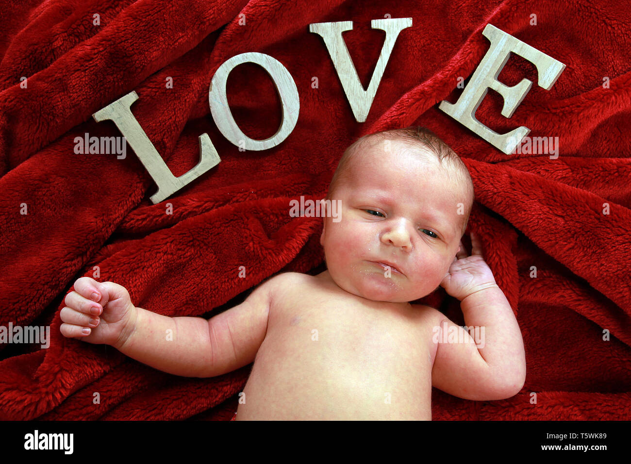New Born Baby Boy relaxing Banque D'Images
