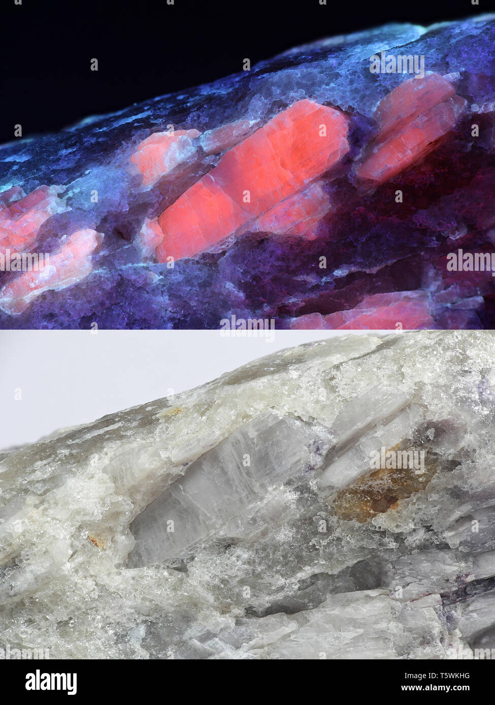 Les cristaux du minerai de lithium industriel majeur le spodumène montrant la fluorescence rouge dans la lumière ultraviolette (365 nm). Image inférieure même échantillon en lumière normale. Banque D'Images
