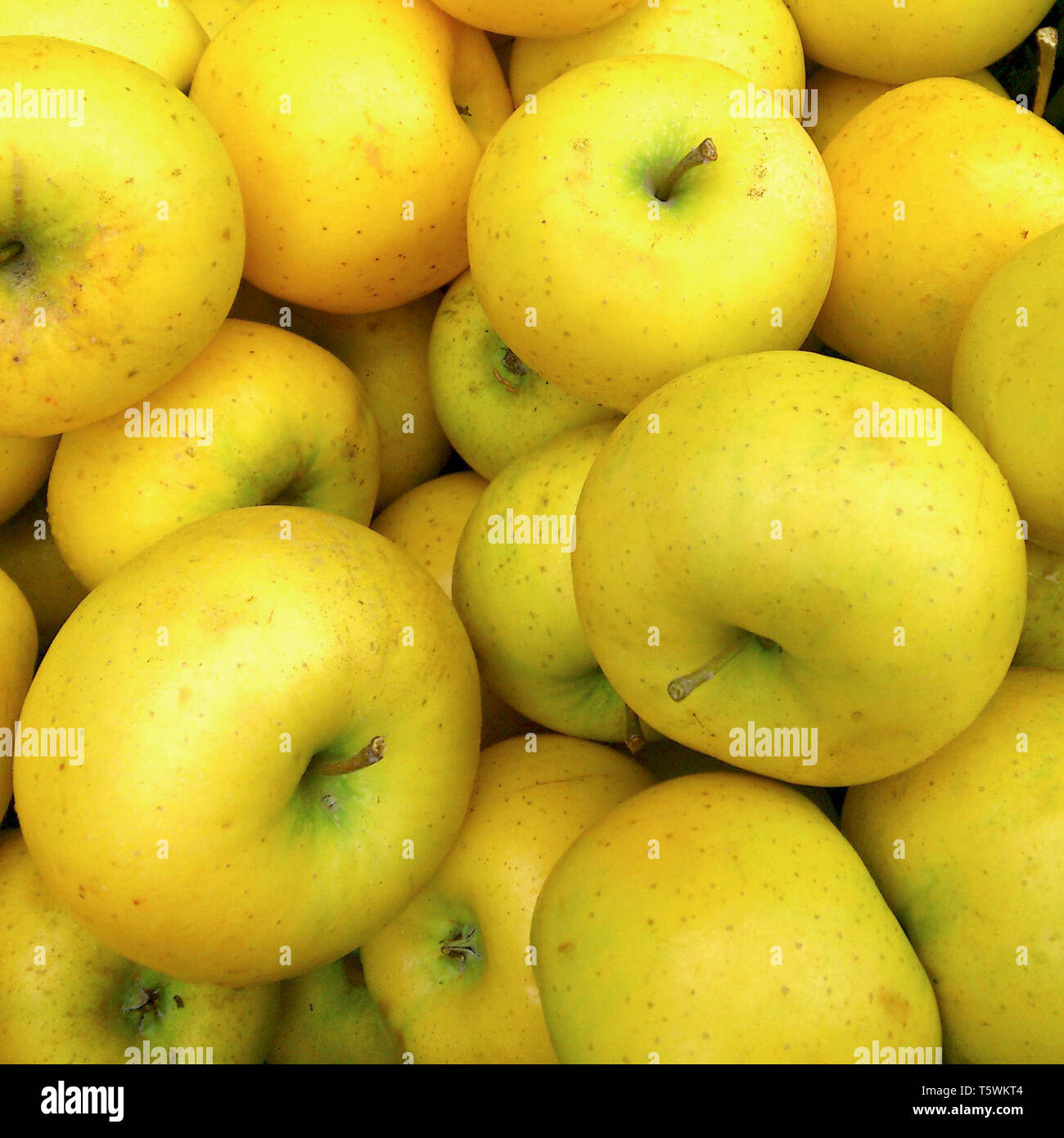Golden Delicious Pommes jaune bio au marché Banque D'Images