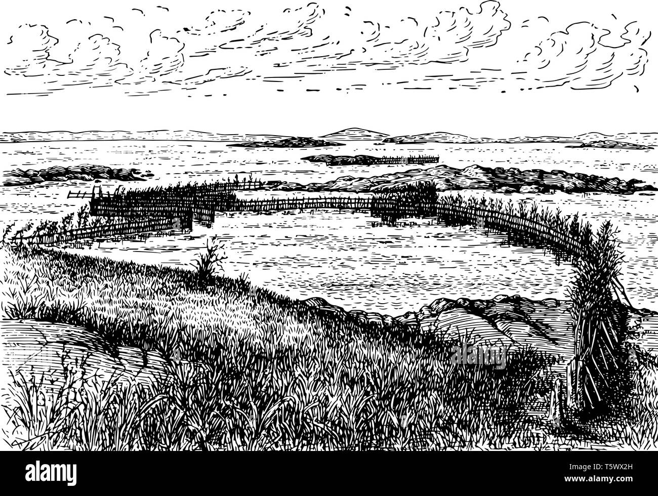 Cette illustration représente le hareng Weir qui est un piège fixe que les poissons peuvent facilement trouver leur chemin dans la ligne vintage, dessin ou gravure illustrati Illustration de Vecteur