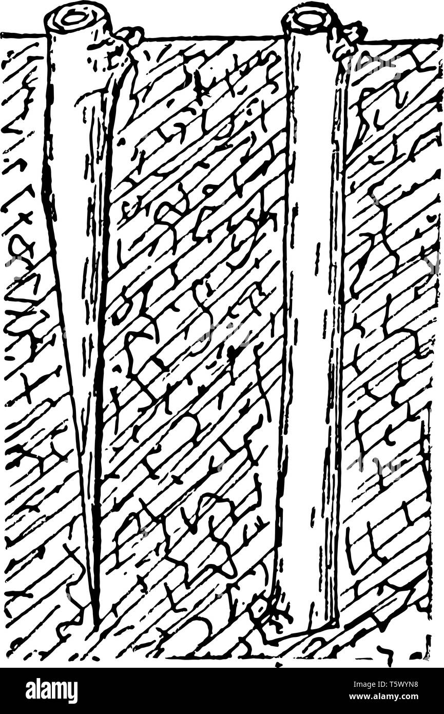 Cette illustration représente la coupe de bois à pâte courte vintage dessin ou gravure illustration. Illustration de Vecteur