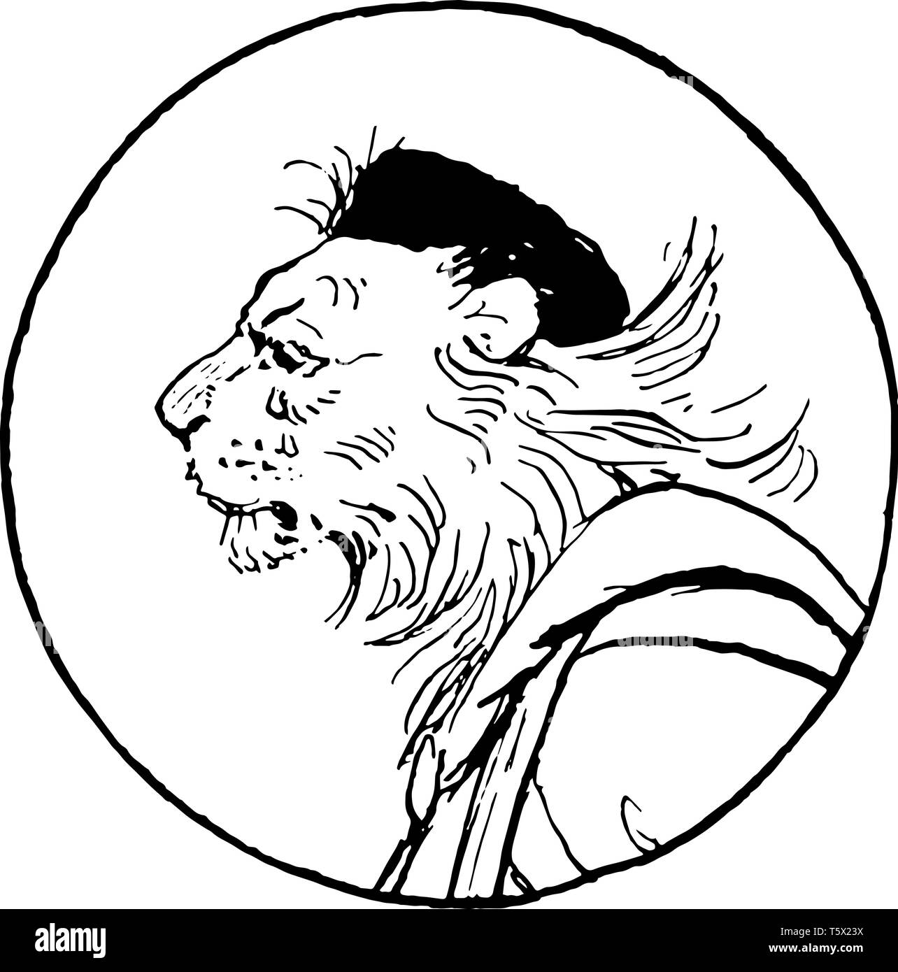 Reynard the Fox : Cette image montre noble Roi lion est pleurer vintage dessin ou gravure illustration Illustration de Vecteur