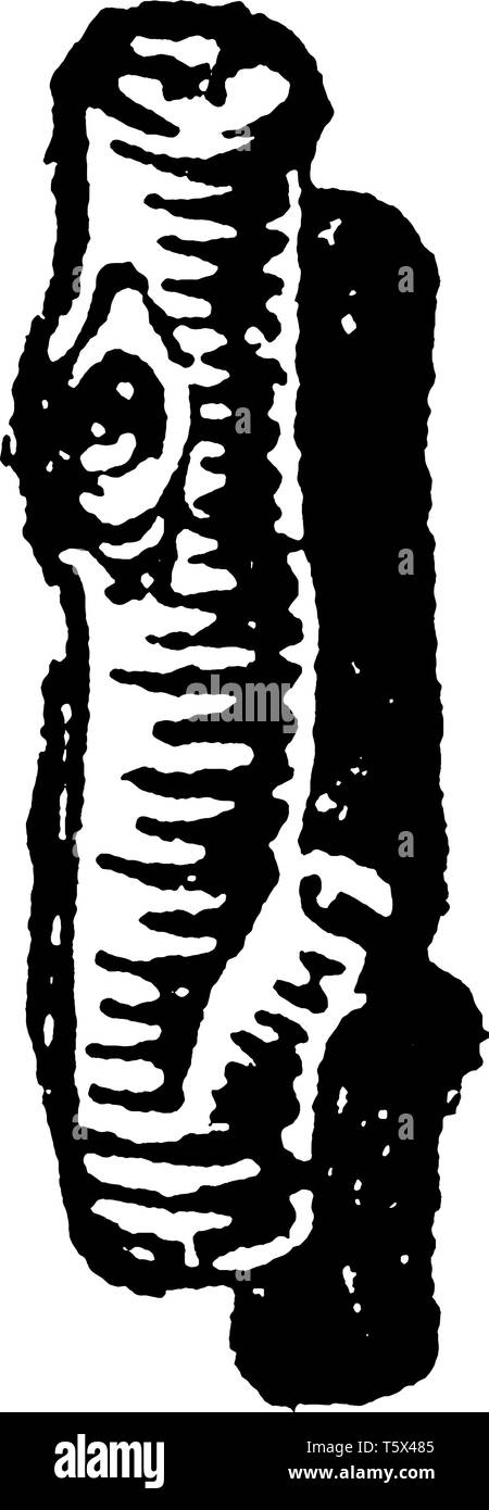 Une lettre que j'ai dans la conception, la lettre rustique vintage dessin ou gravure illustration Illustration de Vecteur