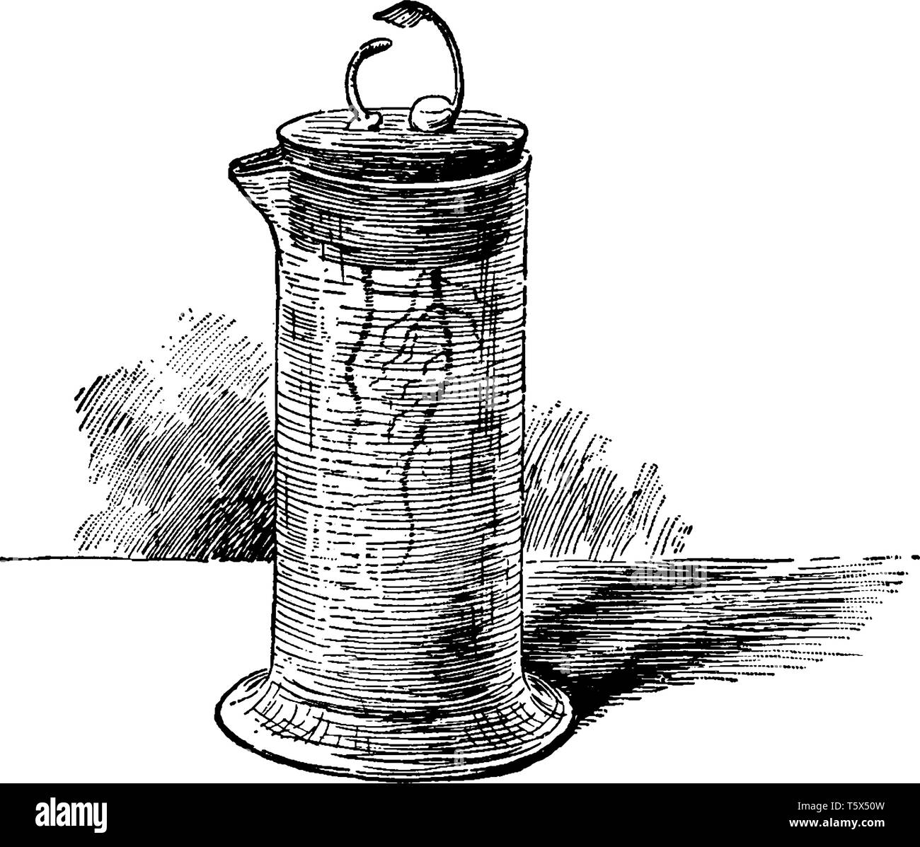 Une image de plus en plus, les pois en germination dans l'eau, l'un privé de ses cotylédons, vintage dessin ou gravure illustration. Illustration de Vecteur