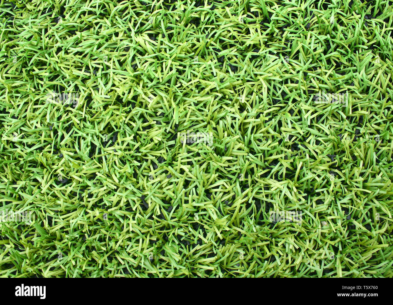La nature horizontale du champ d'herbe verte toile fond texture Banque D'Images