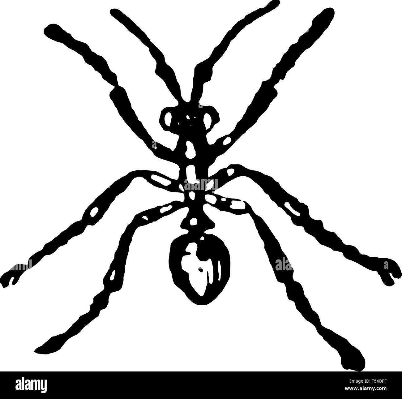 Fourmi noire de cendres travailleur où déterrer leurs habitations souterraines vintage dessin ou gravure illustration. Illustration de Vecteur