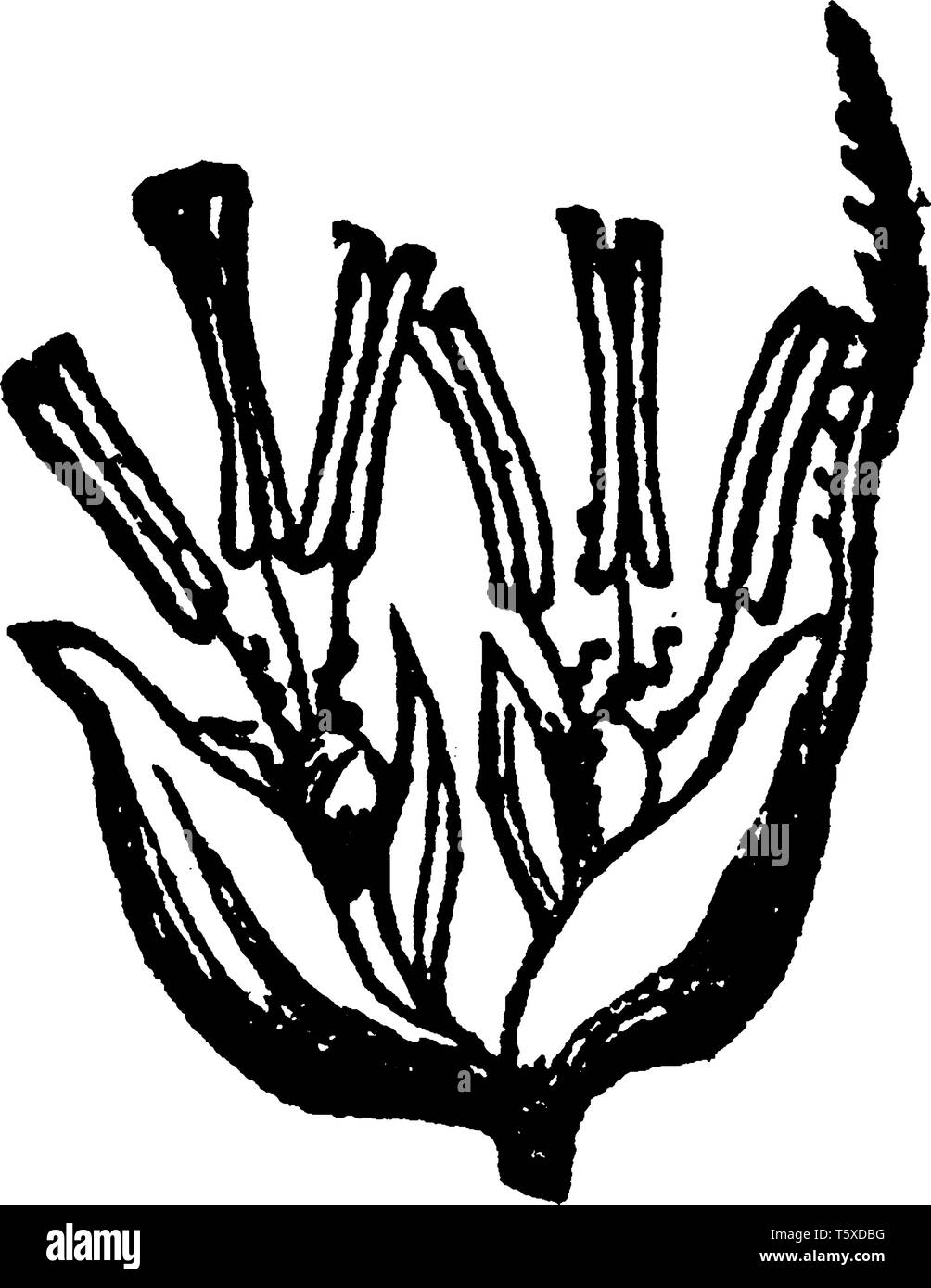 Cette photo montrant une herbe tendre, il y a quelques autre en haut de l'oeuf et la face inférieure est fait, c'est manette vintage dessin ou e Illustration de Vecteur