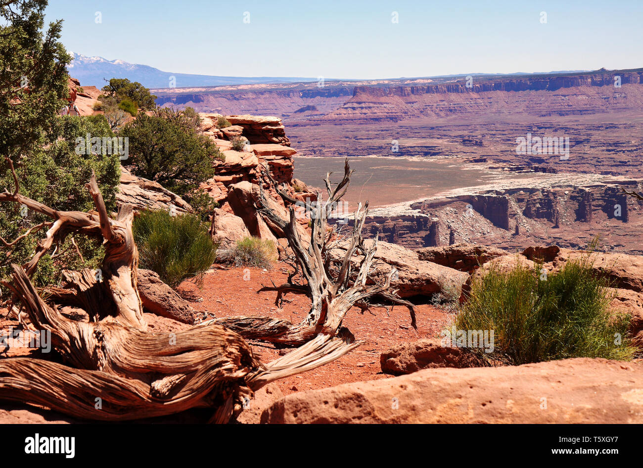 Red Rocks et rochers dans le Parc National de Canyonlands, Utah aux Etats-Unis Banque D'Images