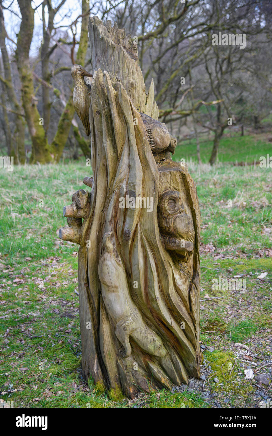 Tronc d'arbre sculpture de faune locale, Barclye Bois, bois de la réserve RSPB Crie, près de Newton Stewart, Dumfries et Galloway, Écosse Banque D'Images