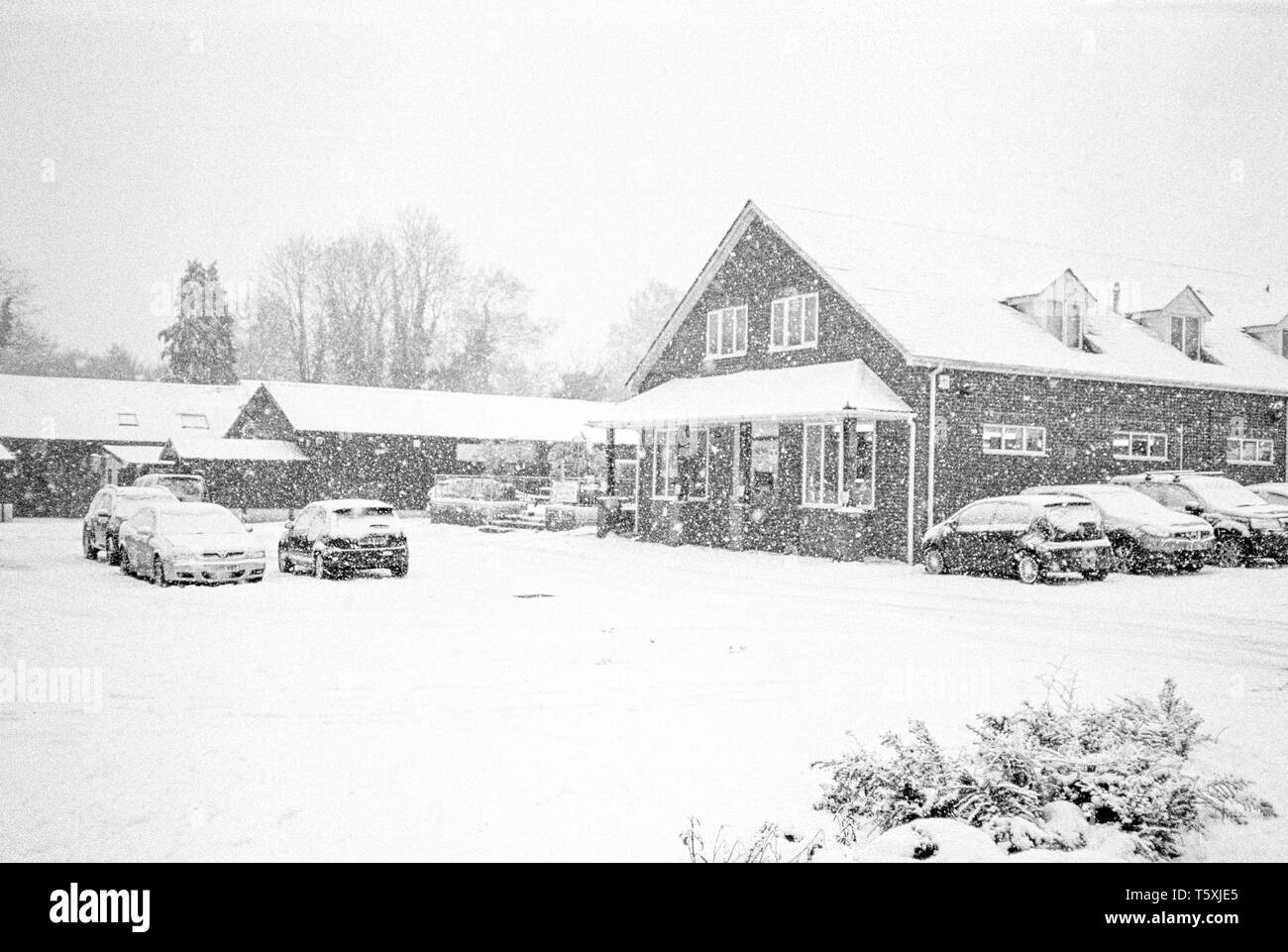 Lire les bouchers dans la neige, Lymington Road fond recouvert de neige , Medstead, Hampshire, Angleterre, Royaume-Uni. Banque D'Images