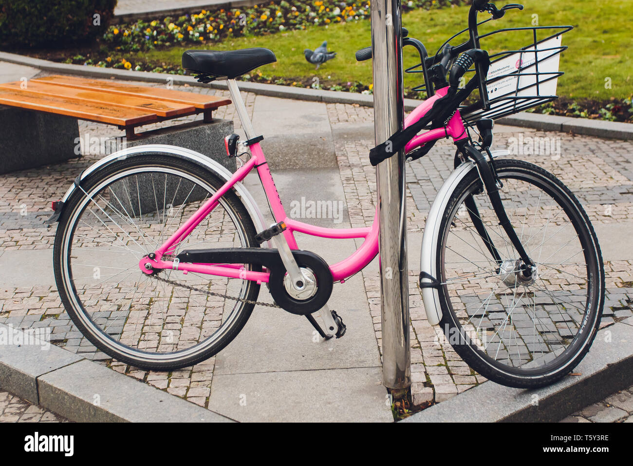 Rose femme vélo avec panier en osier sur la vieille rue Photo Stock - Alamy