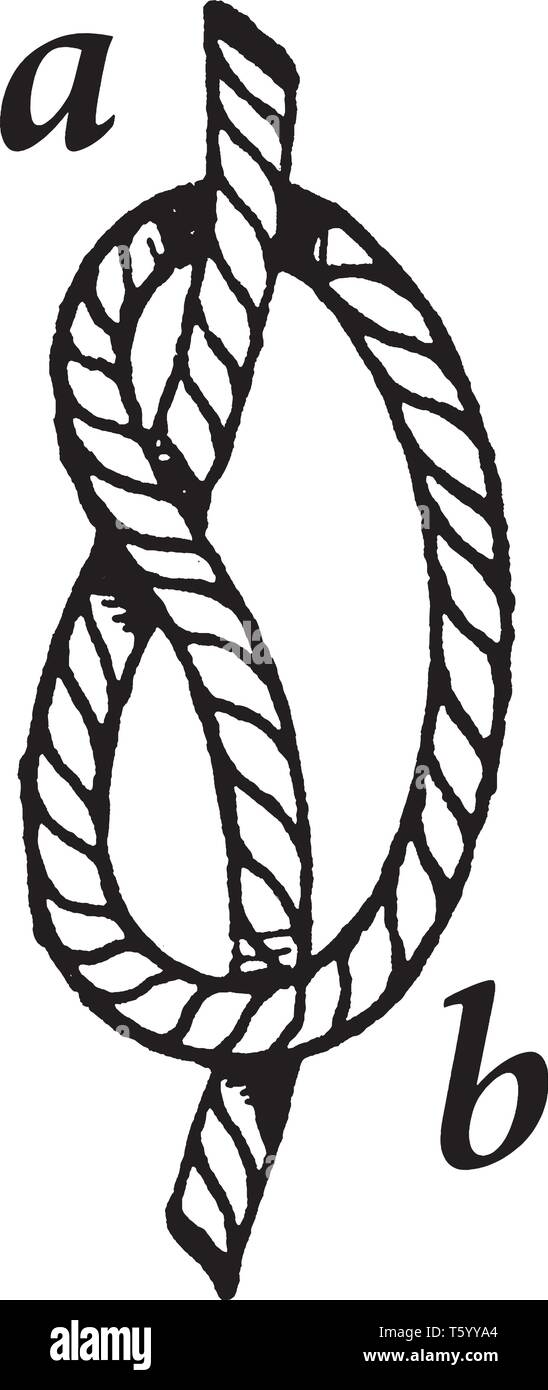 Lancer par noeud est un des noeuds les plus fondamentaux et il forme la base de beaucoup d'autres, dessin de ligne vintage ou gravure illustration. Illustration de Vecteur