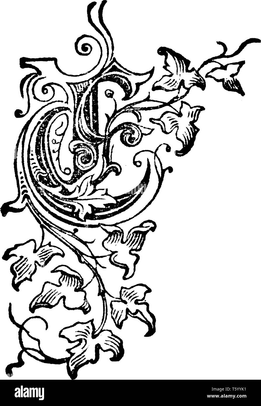 Une lettre majuscule E entouré par des vignes et des feuilles de dessin Ligne vintage, ou gravure illustration Illustration de Vecteur