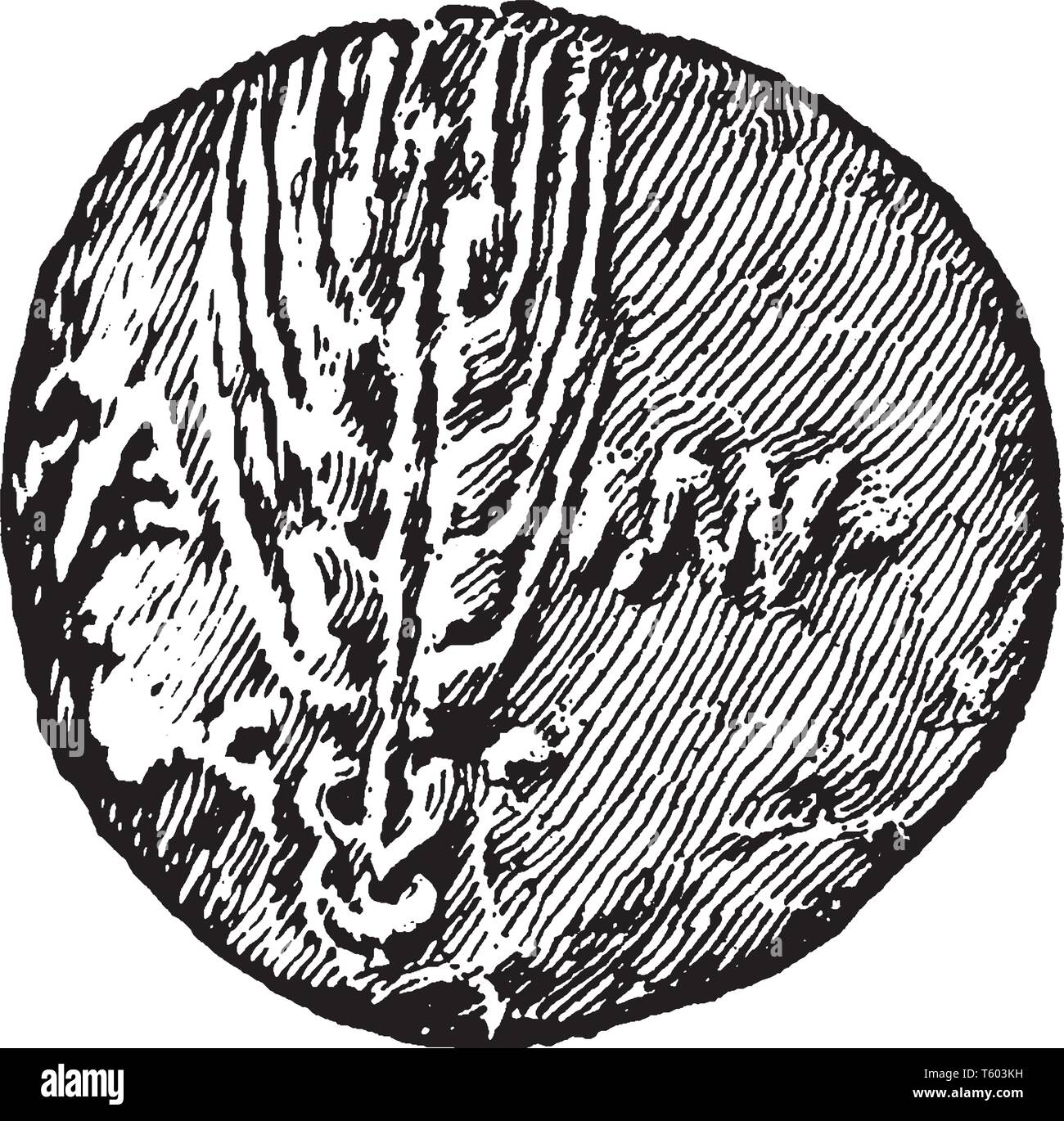 La pièce de la période de l'invasion romaine dans la guerre gallique, vintage dessin ou gravure illustration. Illustration de Vecteur