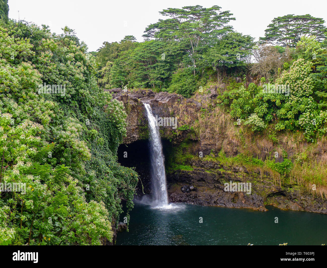 Rainbow Falls à côté de Hilo sur Big Island, Hawaii. Les chutes flwo dans une grande piscine naturelle sur une grotte de lave. Banque D'Images