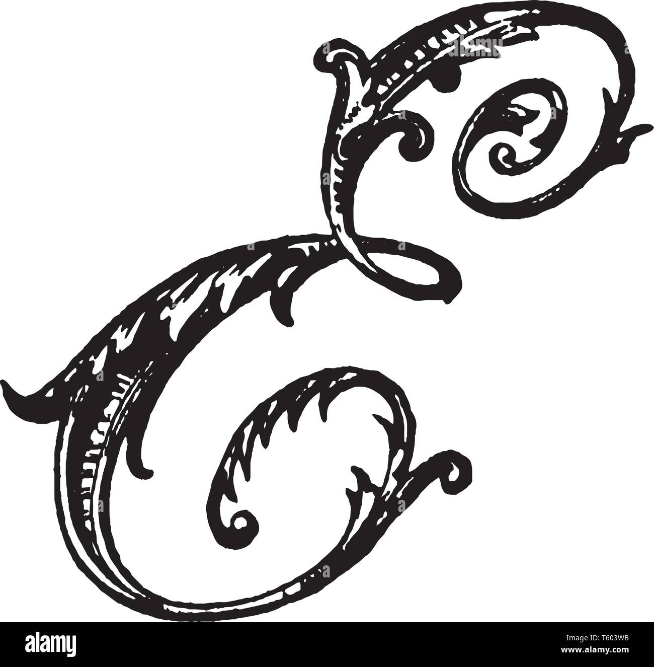 La lettre E sur script d'ornement, vintage dessin ou gravure illustration Illustration de Vecteur