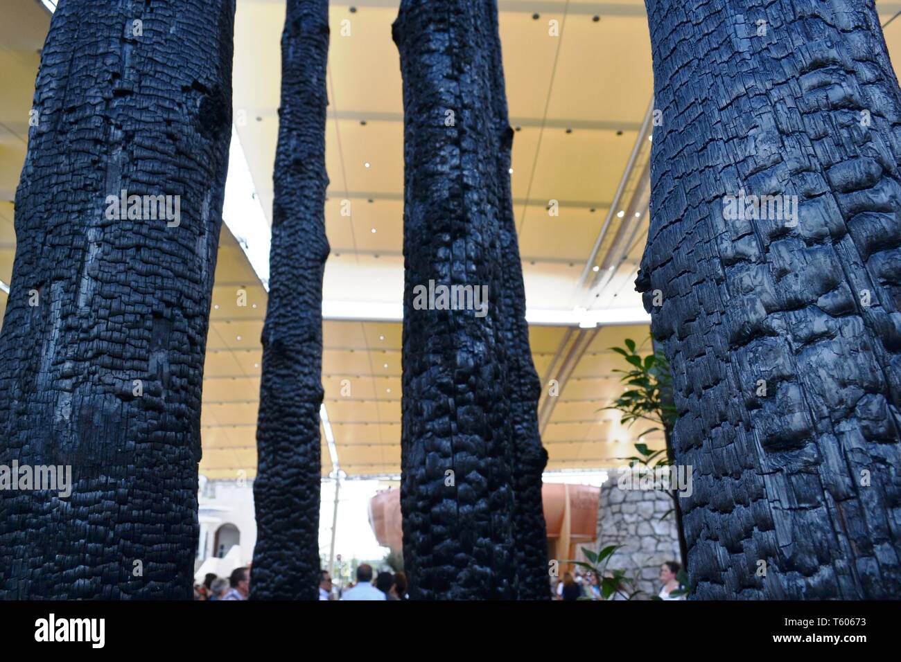 Milan/Italie - 5 octobre, 2015 : vue d'un charbon brûlé les troncs d'arbres exposés à l'entrée du pavillon de Monaco à l'EXPO Milano 2015. Banque D'Images