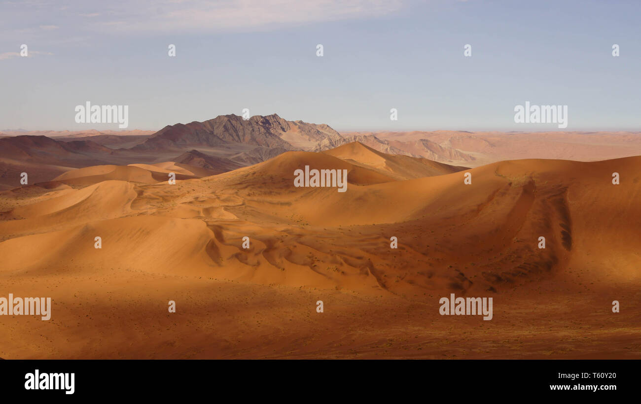 Avis de 'Big Daddy', Dunes Sossusvlei, Namibie Banque D'Images