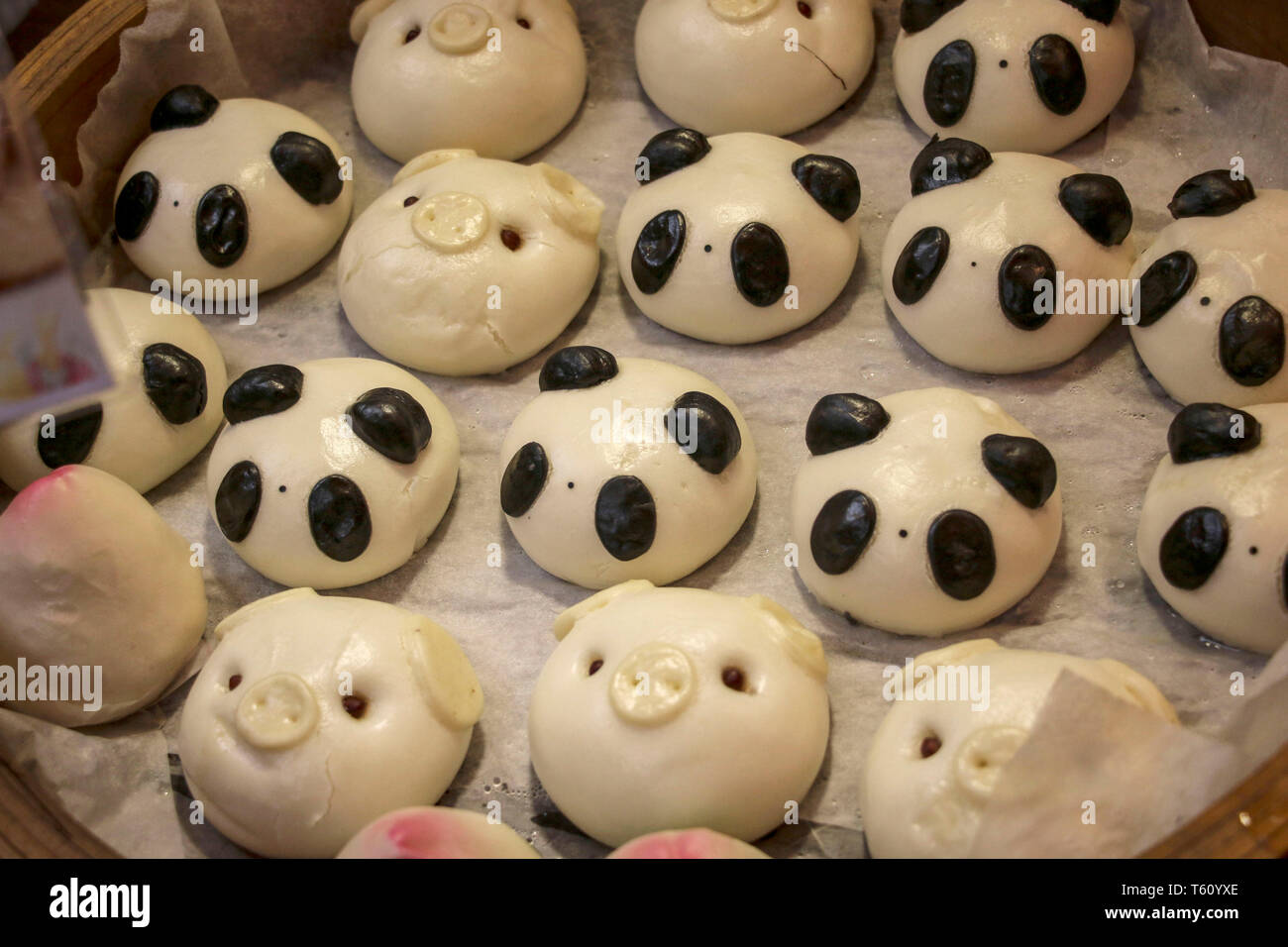 Brioches à la vapeur chinois ou mantou faite sous la forme d'animaux- pandas et cochons Banque D'Images