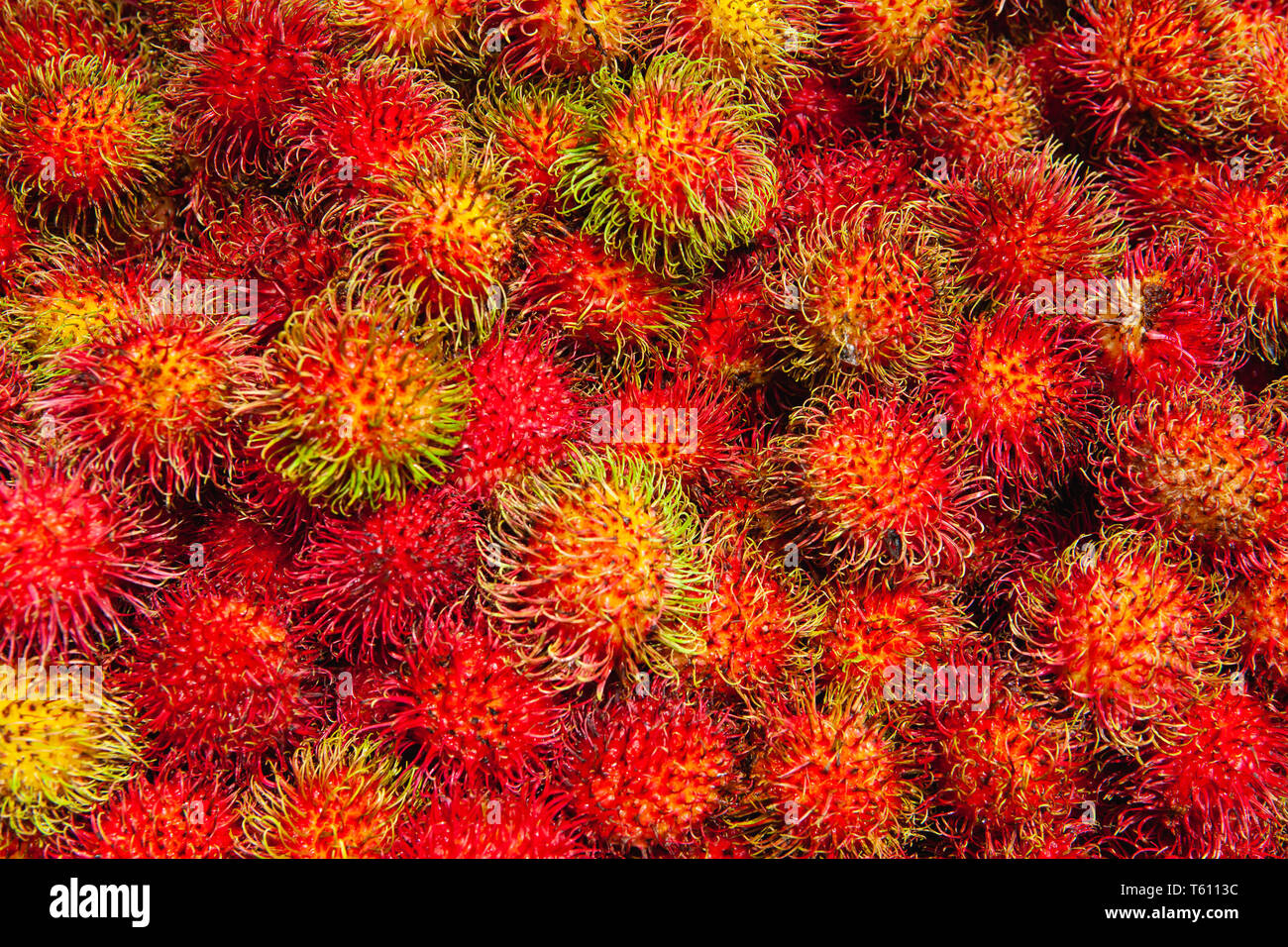 Bouquet de fruits ramboutan frais sur le marché local à Sri Lanka. Le ramboutan est un arbre tropical de la famille des Sapindaceae. Banque D'Images