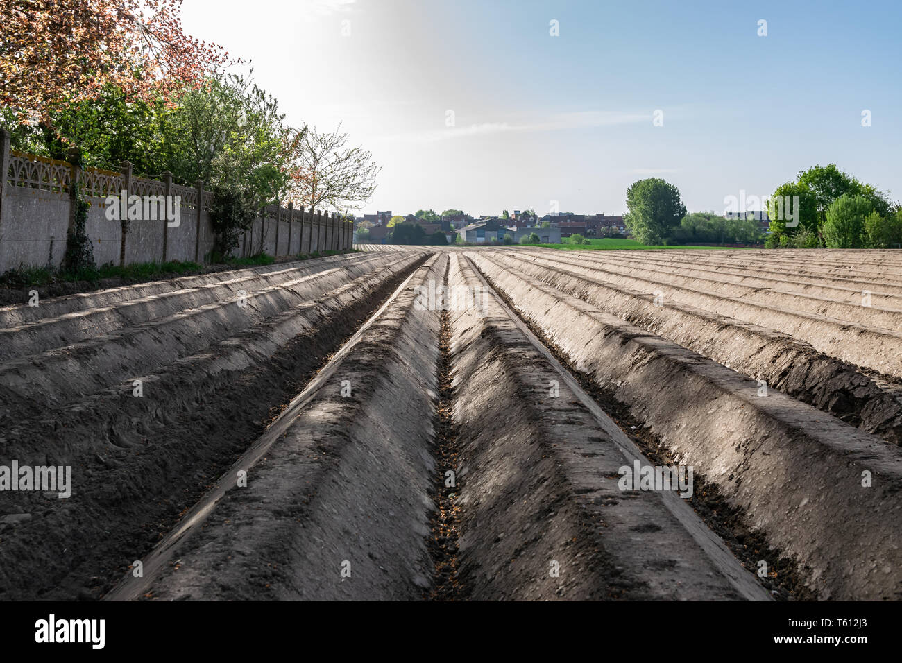 Champ, une ferme, la culture et l'agriculture : concept d'un champ labouré sur la ferme, préparés pour les semis de légumes. Banque D'Images