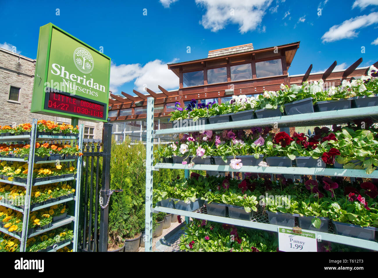 Toronto, Canada le 25 avril, 2018 Fleurs : Sheridan pépinière à Yonge  Street vente de fleurs, pots de fleurs et plantes de jardin Photo Stock -  Alamy