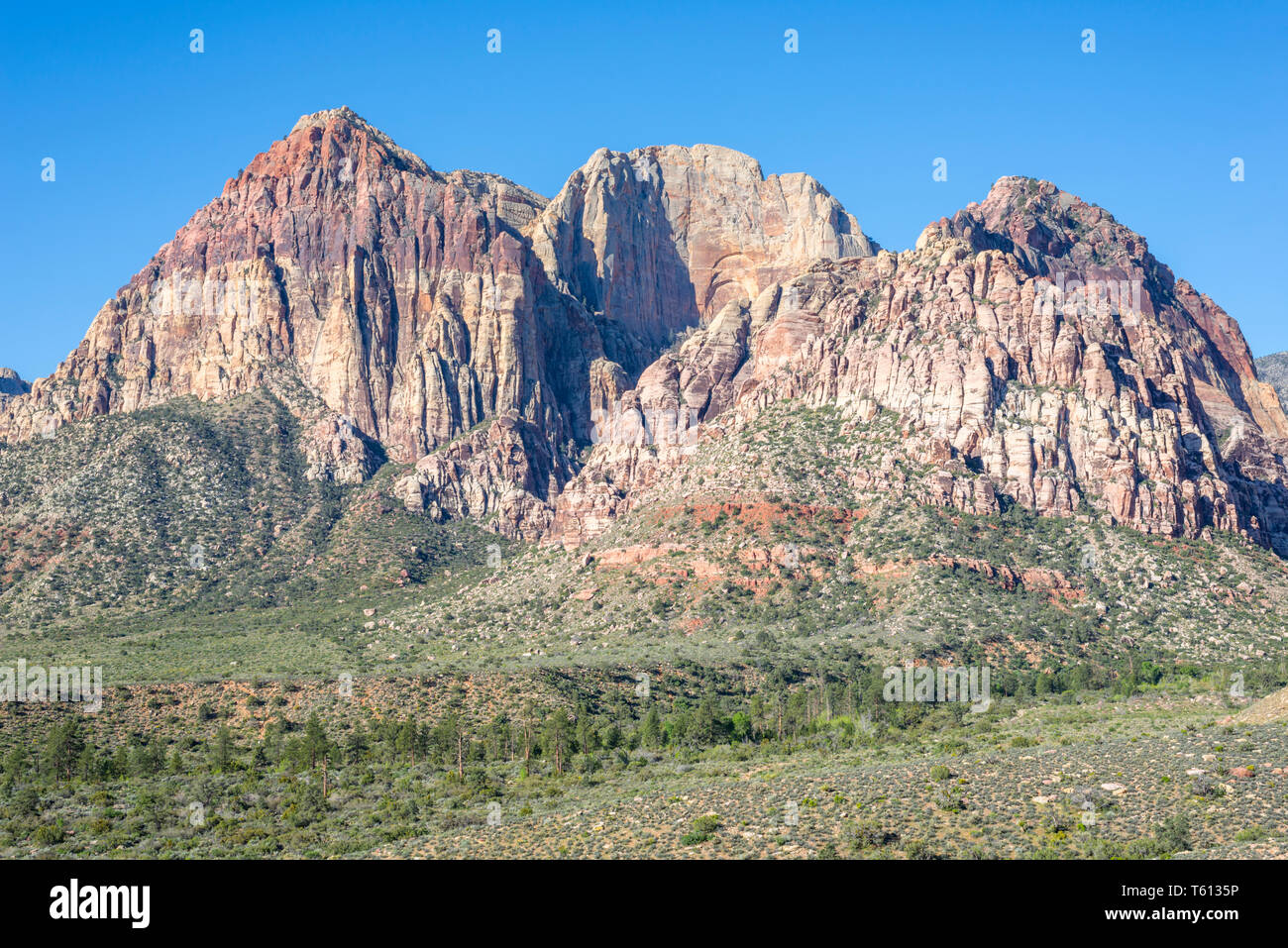 Nature Paysage au Red Rock Canyon National Conservation Area. Las Vegas, Nevada, USA. Banque D'Images