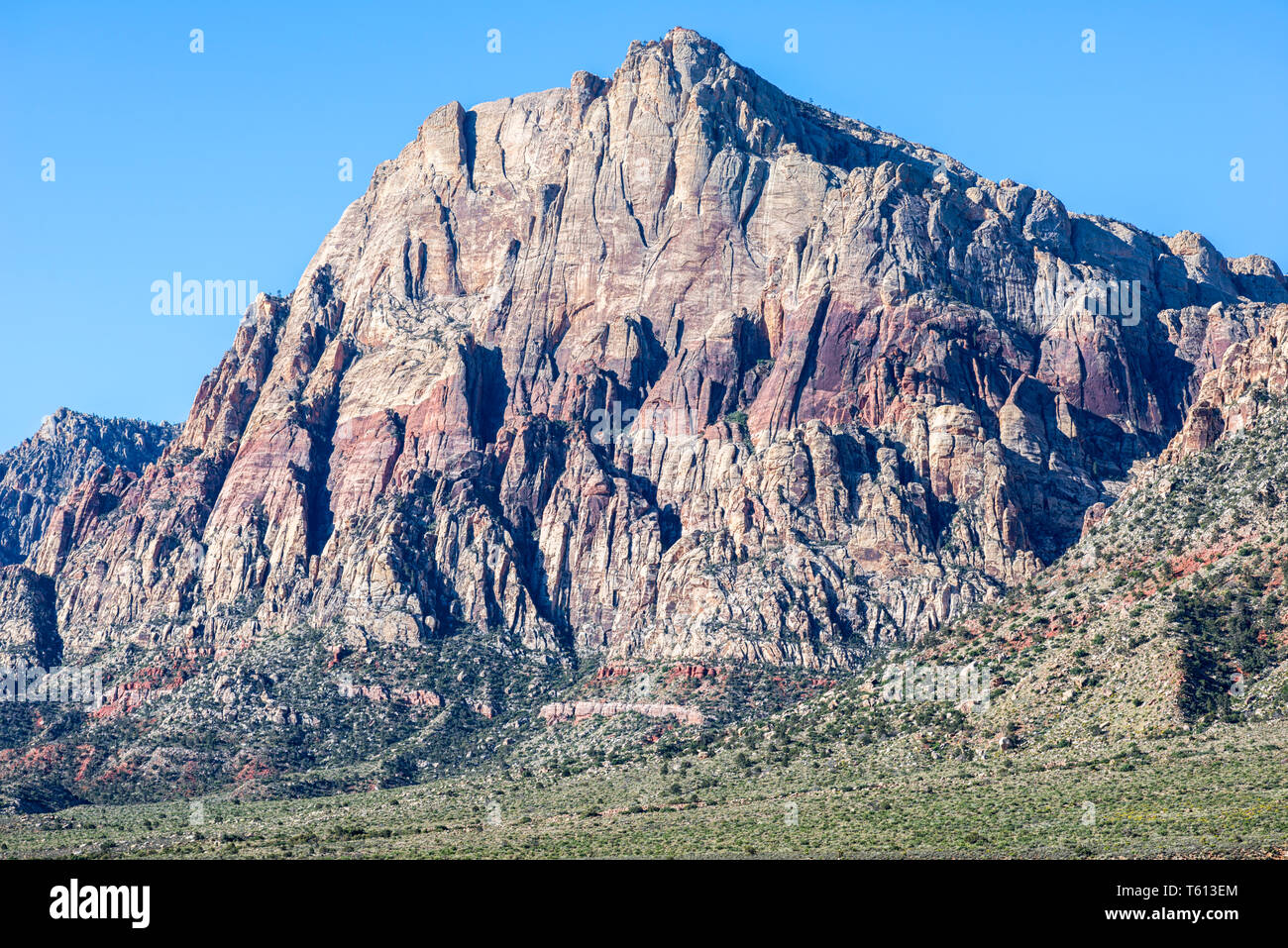 Red Rock Canyon National Conservation Area. Las Vegas, Nevada, USA. Banque D'Images