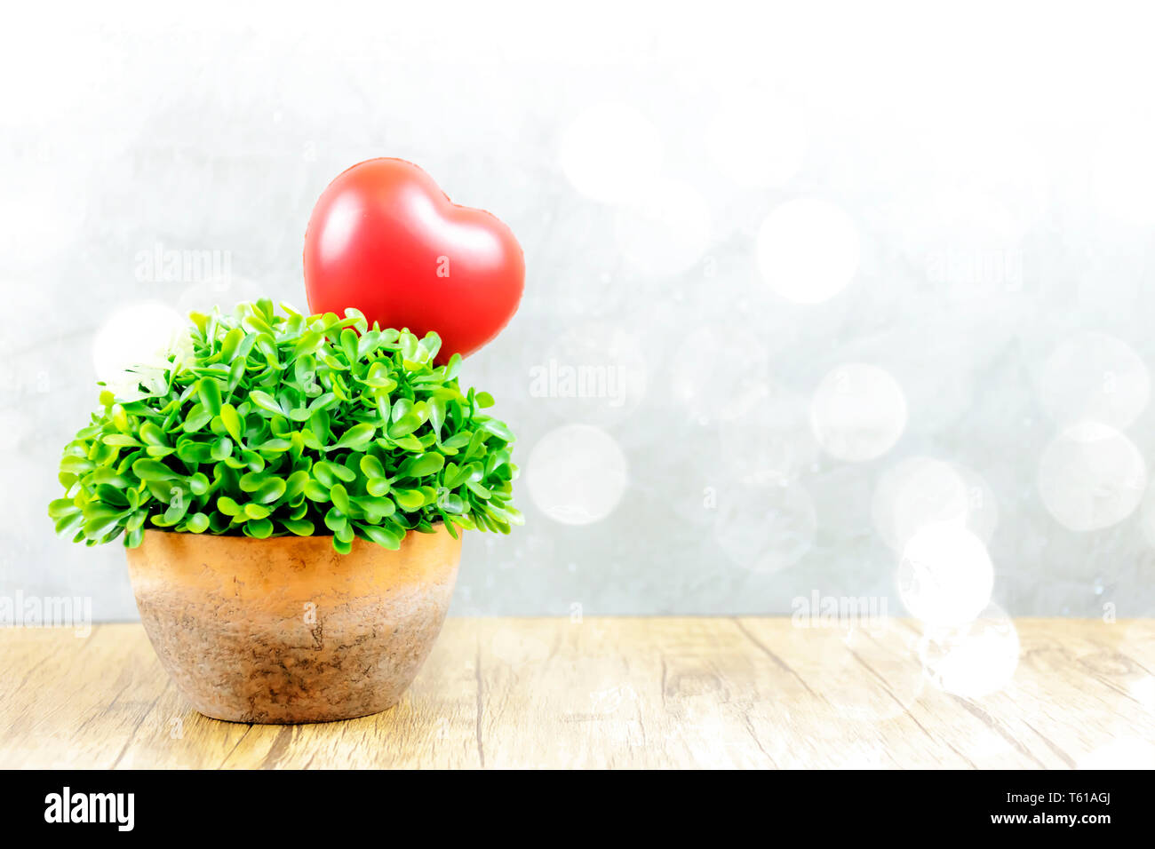 L'amour et la Saint-Valentin concept. Coeur rouge est placé sur un pot de plantes vertes. L'amour qui fleurit pousse dans une bonne direction. Rempli comme prévu Banque D'Images