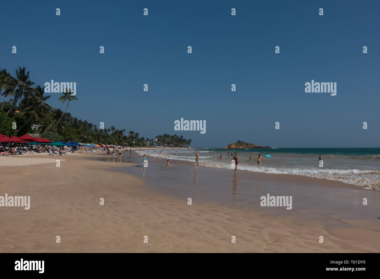 Les baigneurs, Mirissa, Sri Lanka. Banque D'Images