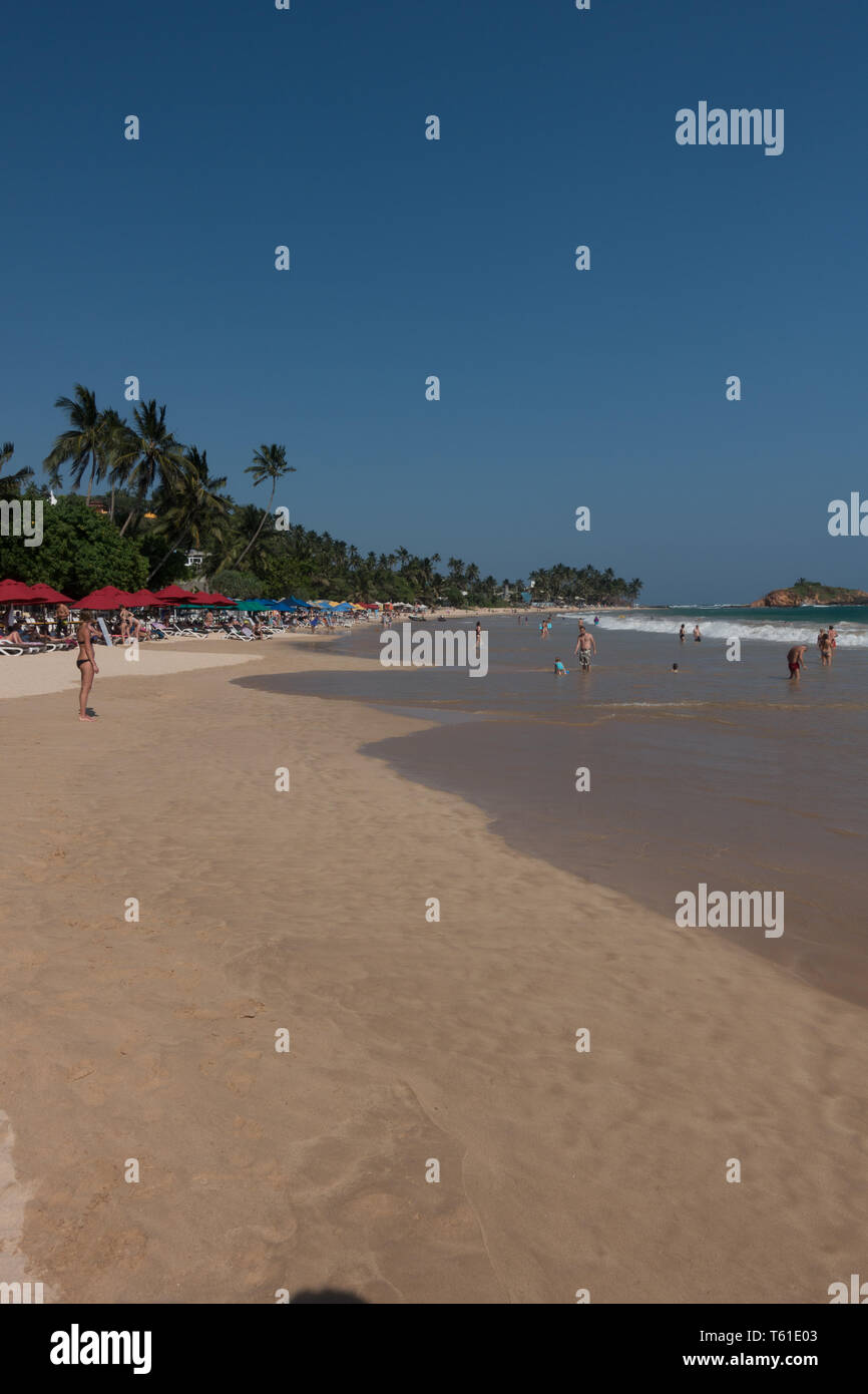 Les baigneurs, Mirissa, Sri Lanka. Banque D'Images