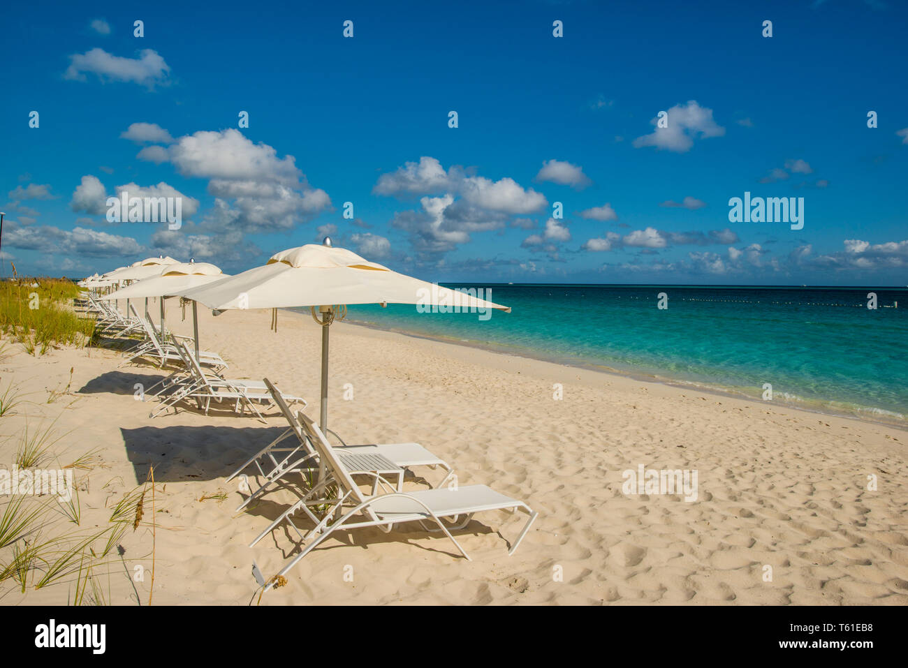 Parasols sur Grace Bay Beach, Providenciales, Turks et Caicos, Caraïbes. Banque D'Images