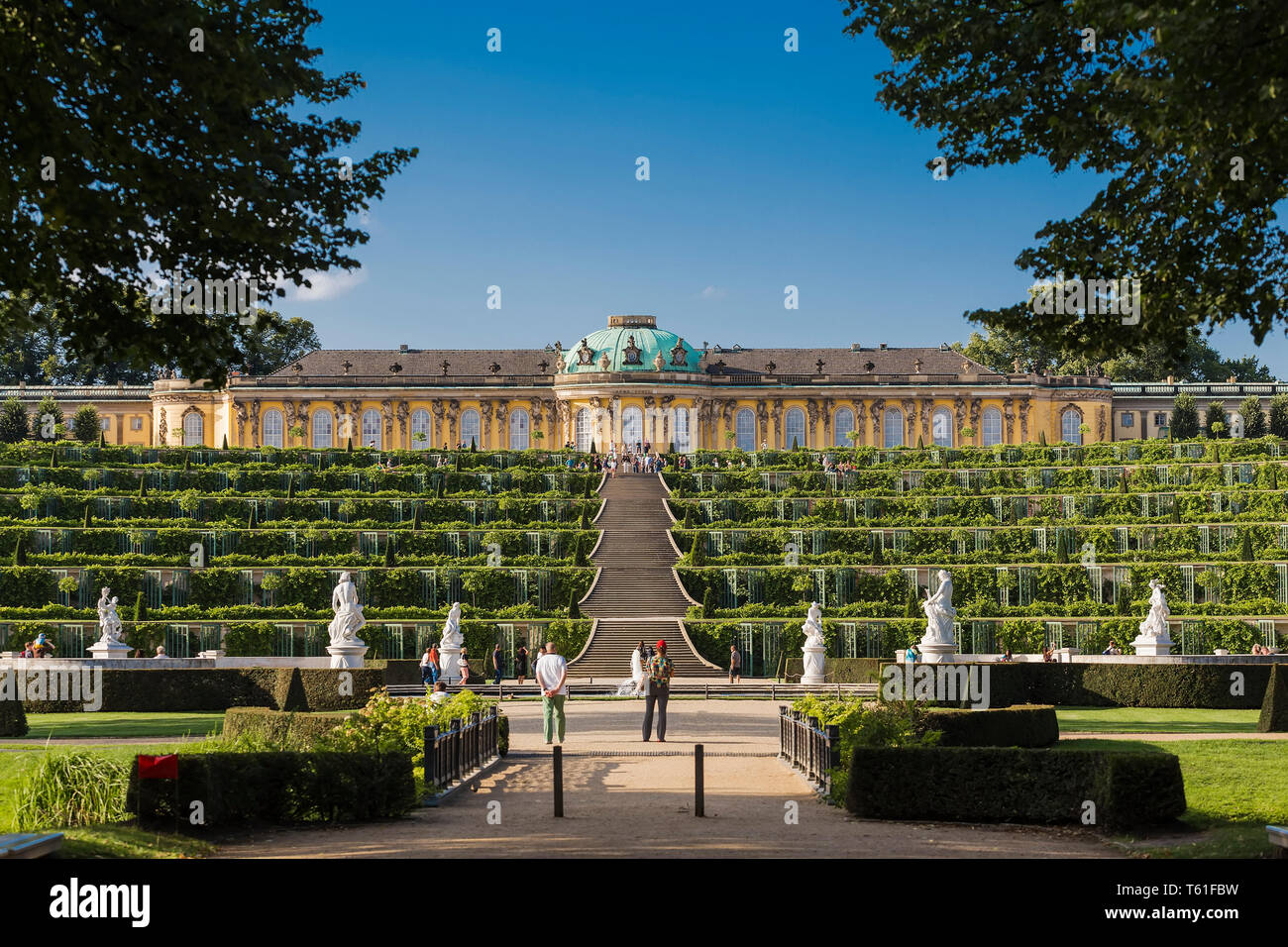 Palais de Sanssouci et terrasses de vigne en face de lui. Potsdam. Allemagne Banque D'Images