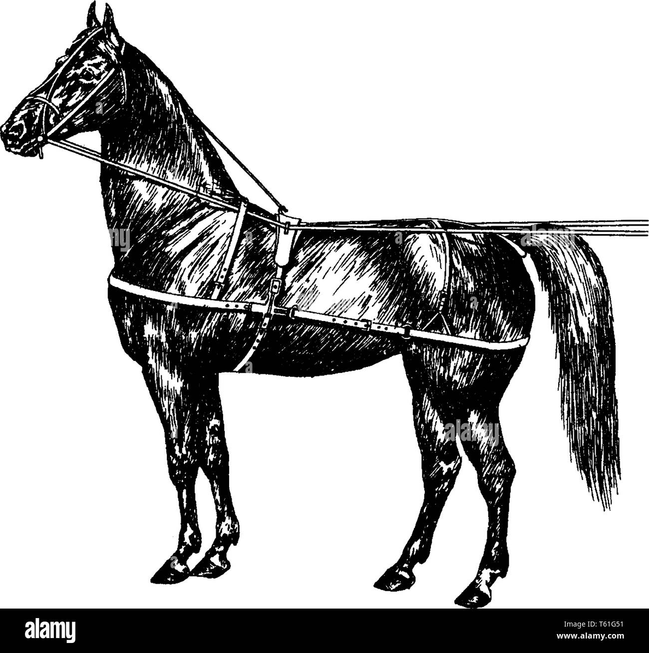 L'utilisation d'origine du faisceau de cheval est un type de cheval de tactique qui permet à un cheval ou autres équidés à tirer divers véhicules tirés par des chevaux comme un chariot, vintag Illustration de Vecteur