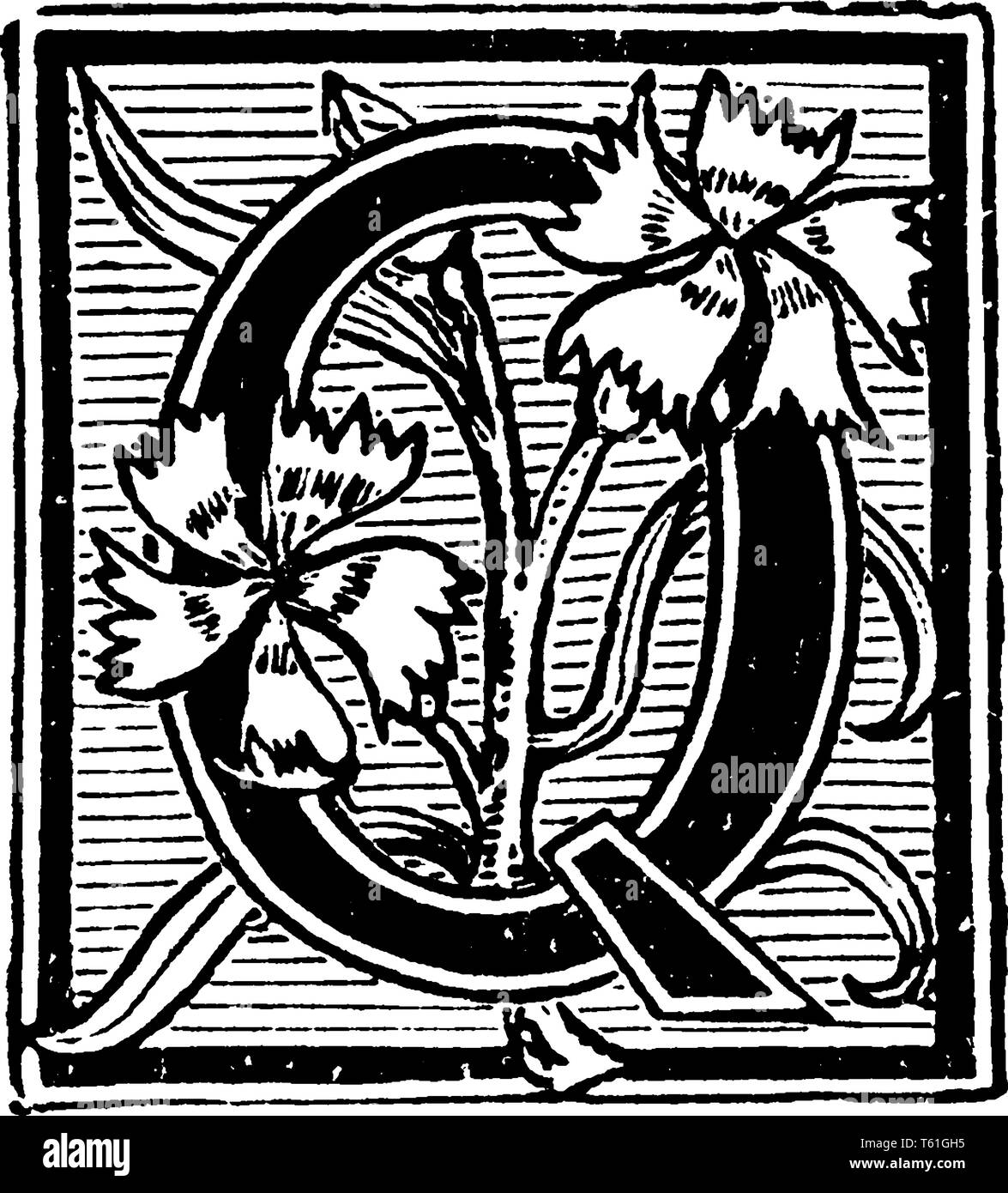 Un capital de décoration lettre Q avec des fleurs et les lignes, vintage dessin ou gravure illustration Illustration de Vecteur